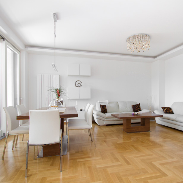 Moderna dnevna soba, klub stoliÄ‡ i blagavaonski stol po mjeri.